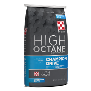 High Octane Champion Drive