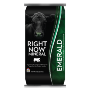 Right Now Emerald Mineral Supplement IGR