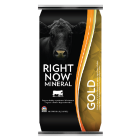 Right Now Gold Mineral Supplement