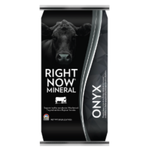 Right Now Onyx Mineral Supplement