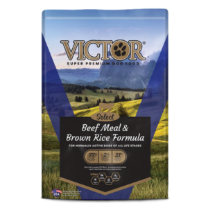 Beef Meal & Brown Rice Formula. Dry dog food bag.