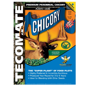 Tecomate Chicory lasts 2 to 5 years and is a beneficial forb that deer instinctively crave.