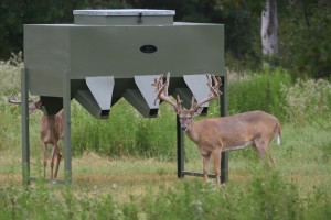 Supplemental Deer Feeding Programs