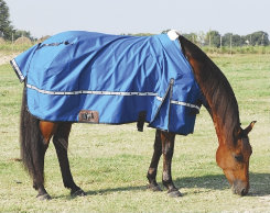 horse blanket