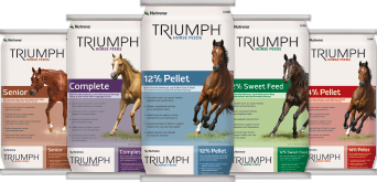Triumph Horse Feed