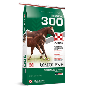 Purina Omolene 300 Growth Horse Feed