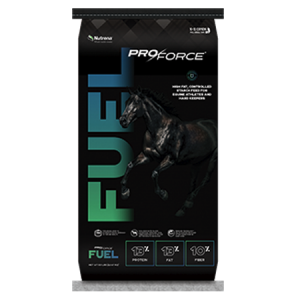 Nutrena ProForce Fuel horse feed.
