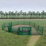 Arrowquip Cattle Handling System 2