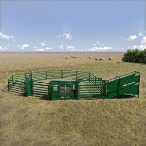 Arrowquip Cattle Handling System 3
