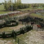 Arrowquip Cattle Handling System