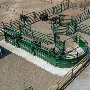 Arrowquip Cattle Handling System - Oregon